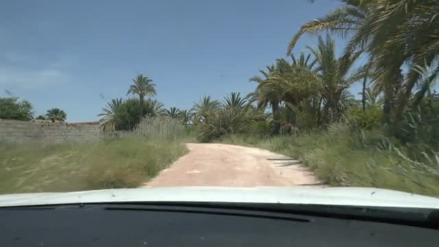 Una mujer da a luz y abandona al recién nacido en un descampado de Alicante