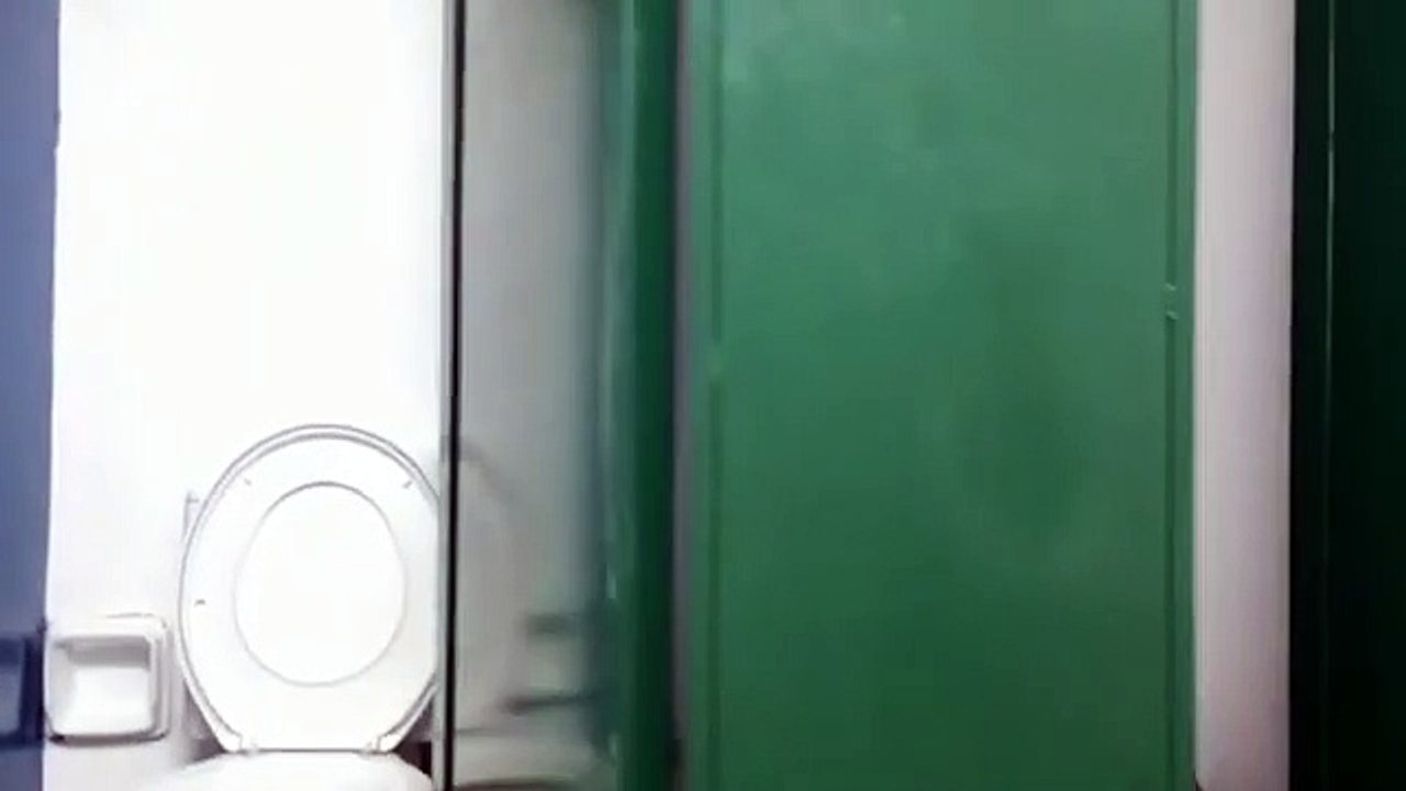 Vídeo: Estudantes encontram onça escondida em banheiro de escola e imagens impressionam