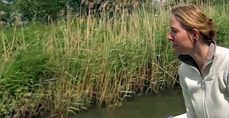 Digging for Britain S02 E03