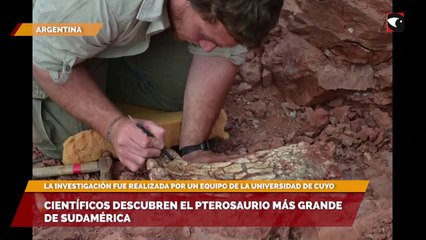 Científicos descubren el pterosaurio más grande de Sudamérica