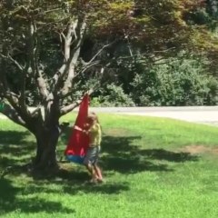 Videos de caidas graciosas