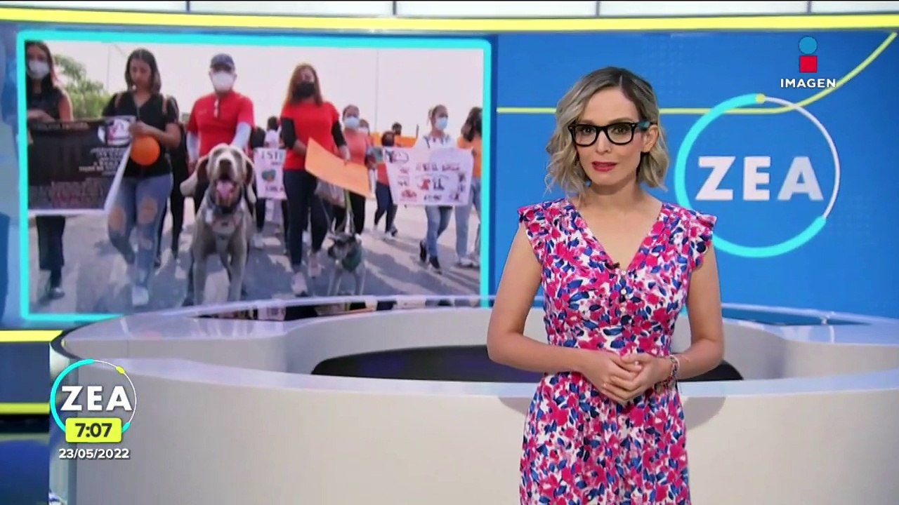 Activistas marchan contra el maltrato animal en Temixco, Morelos