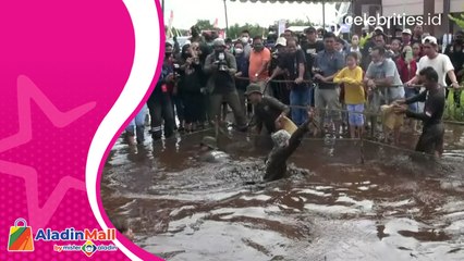 Unik, Lestarikan Warisan Nenek Moyang Warga Palangka Raya Gelar Lomba Mangaruhi