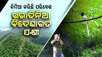 Foreign winged species flying to Odisha even in summers