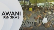 AWANI Ringkas: Percepat tuntutan subsidi | Mayat pendaki diserah kepada keluarga