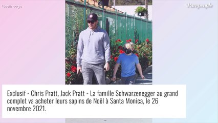 Chris Pratt et Katherine Schwarzenegger parents pour la 2e fois, le prénom du bébé dévoilé