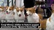 Corgi blimey: Jubilee to feature puppet procession of the 'Queen's favourites'
