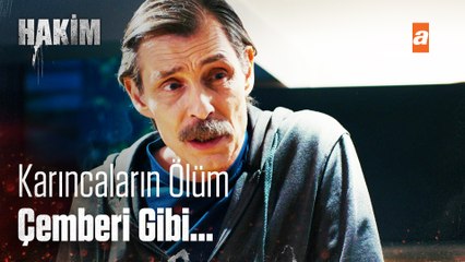 Karıncaların Ölüm Çemberi - Hakim 7. Bölüm