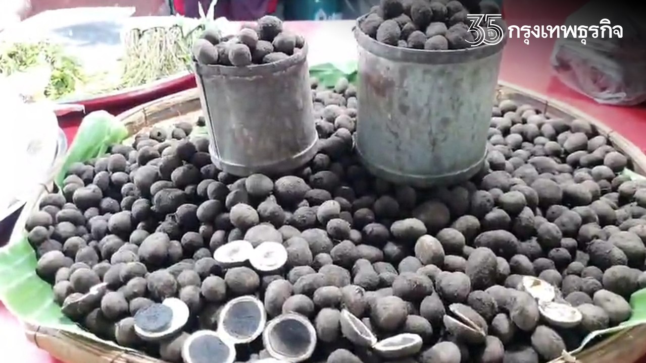 "เห็ดเผาะ" ฤดูฝน ของดี 1 ปีมีครั้งเดียว ลูกค้าแ...