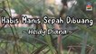 Heidy Diana - Habis Manis Sepah Dibuang (Official Lyric Video)