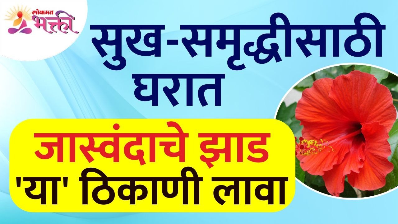 सुख-समृद्धी मिळण्यासाठी घरात जास्वदांचे झाड कुठ...