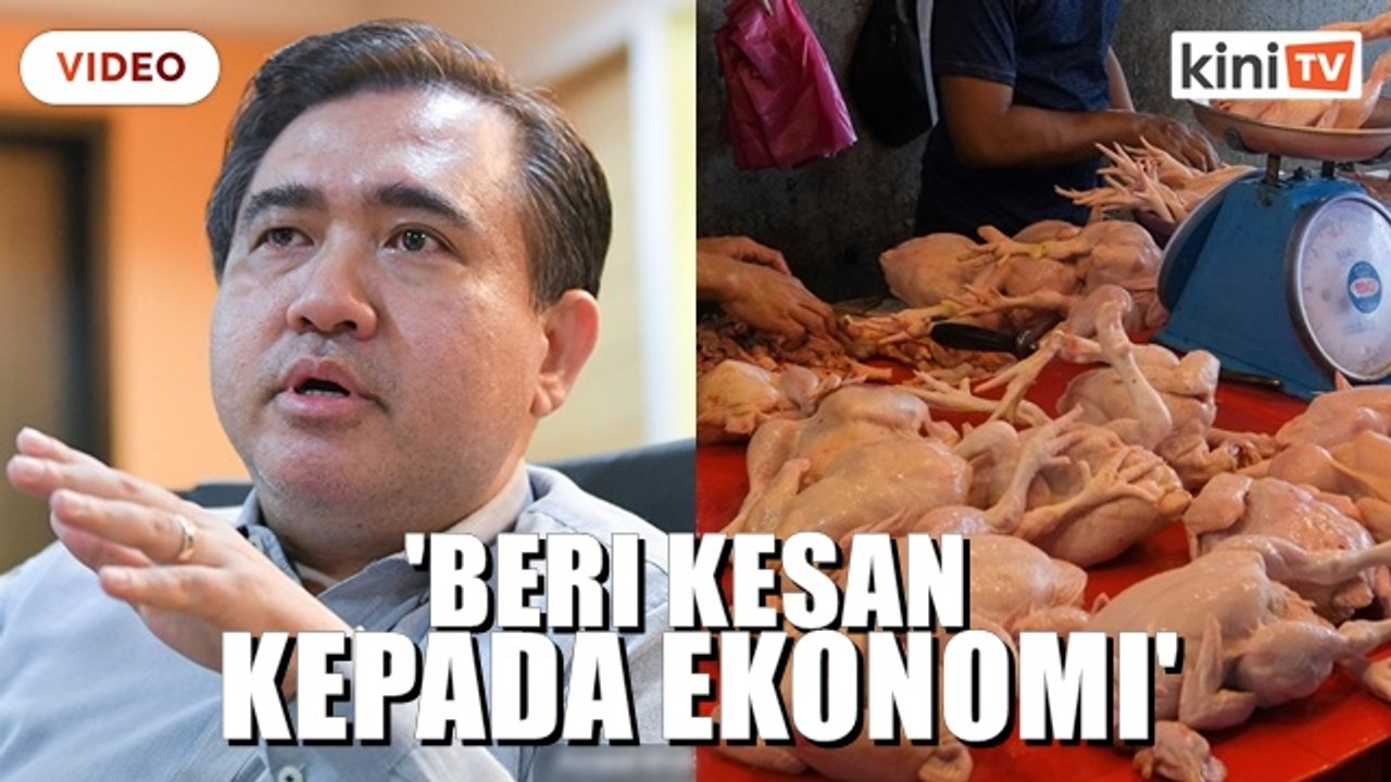 Henti eksport ayam: Kerajaan perlu elak tindakan terburu-buru - Loke
