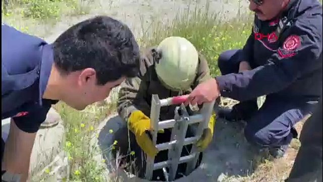 Kuyuya düşen köpek itfaiye ekiplerince kurtartıldı