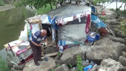 İşçi emeklisi ömrünü kedilere adadı