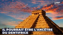 Pourquoi les Mayas avaient-ils une très bonne hygiène dentaire ?