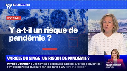 Variole du singe: y-a-t-il un risque de pandémie ?