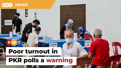 ‘Warning signs’ after only 12% of 1.1mil PKR members vote in polls