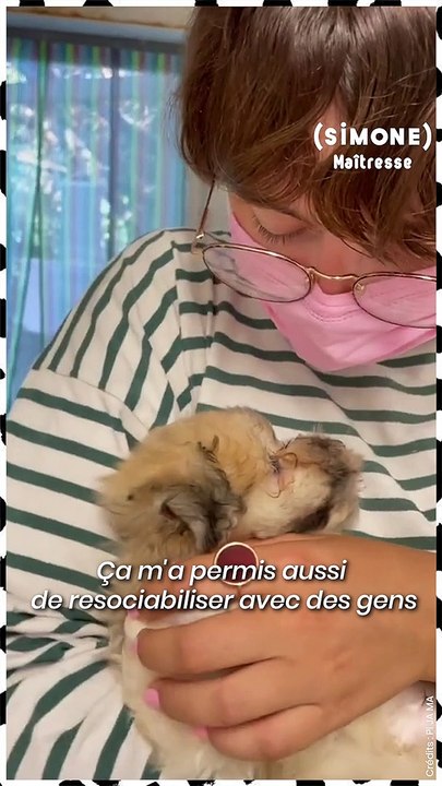 SIMONE - Pijama raconte son histoire avec Sacha, sa petite Coton de Tuléar