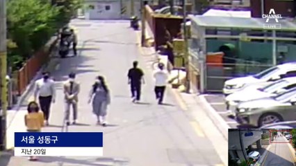 쓰레기봉투에 버려진 새끼고양이 3마리…용의자 추적 중