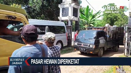 Télécharger la video: Sapi Terinfeksi PMK Di Purwakarta Terus Bertambah