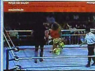 Undertaker vs. Ultimate warrior