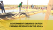 Government embarks on fish farming research in the ASALs