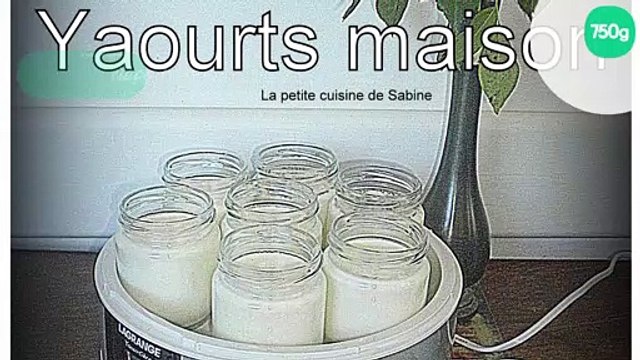 Yaourt à la vanille et yaourt à la fleur d'oranger