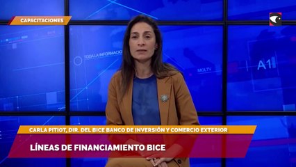 Líneas de financiamiento BICE