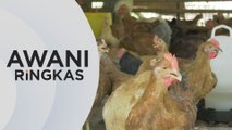 AWANI Ringkas: Industri Ayam | Siasatan MyCC dijangka selesai akhir Jun