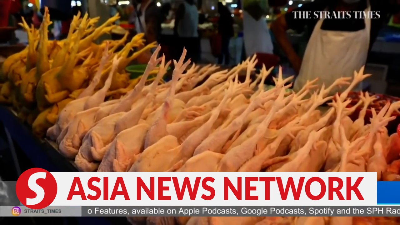 The Straits Times | Malaysia's chicken export ban: Should Singaporeans be worried?