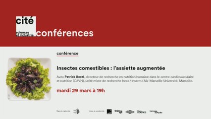 Insectes comestibles : l’assiette augmentée