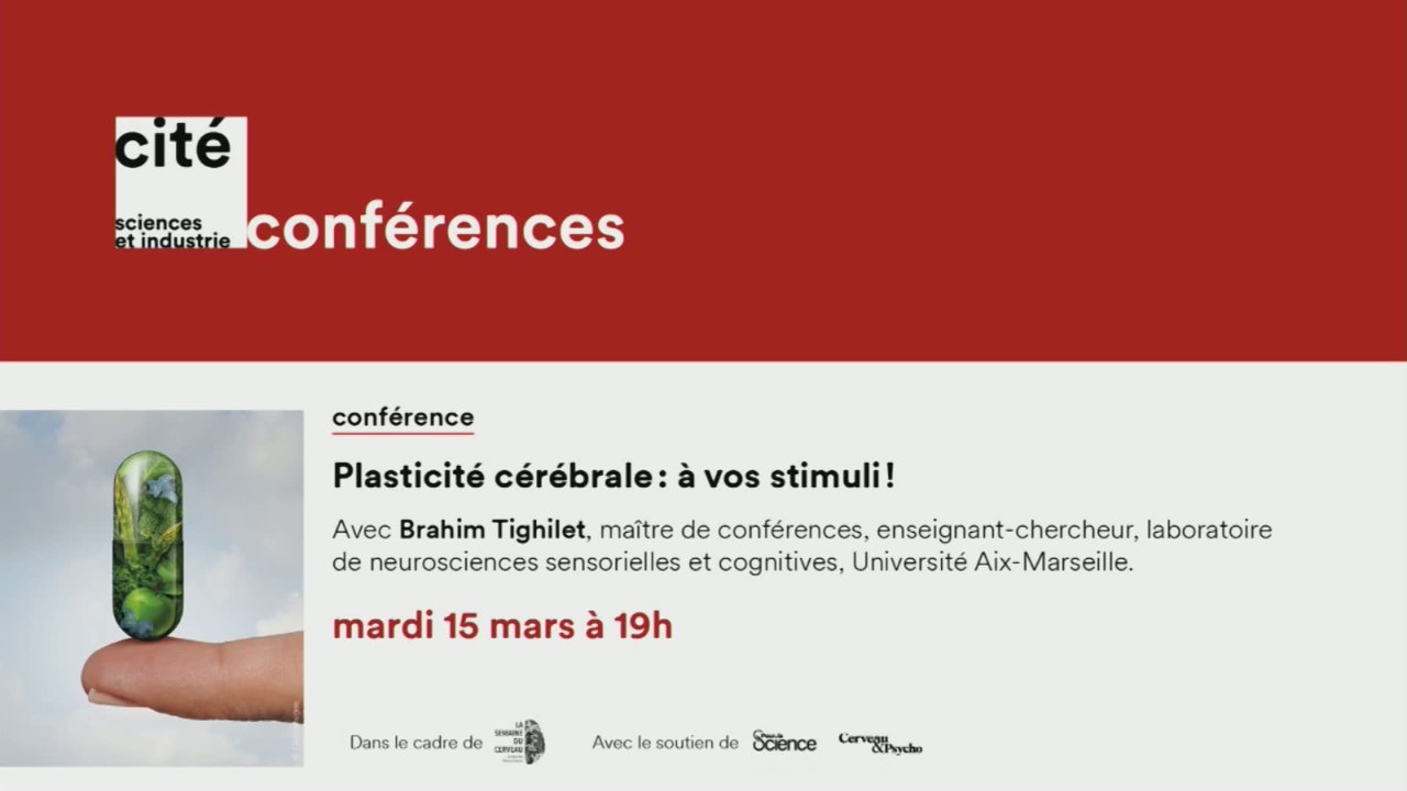 Plasticité cérébrale : à vos stimuli !