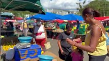 À La Réunion, l'autosuffisance alimentaire en question face aux guerres et aux maladies