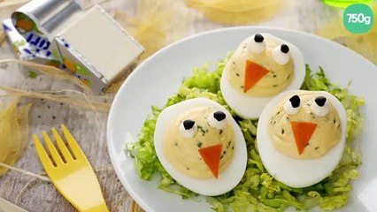 Les poussins Mimosas Kiri© dans leur nid