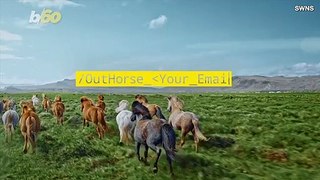 ‘OutHorse Your Email’ Is Iceland’s Answer to Your Vacation Work Email Problem