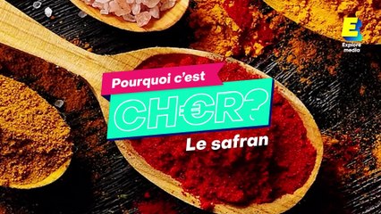Le safran, l'épice la plus chère au monde !