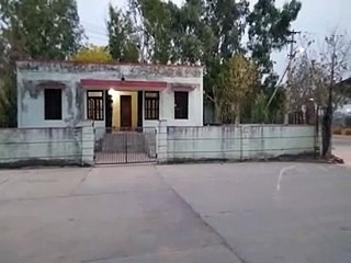 video: चने की बम्पर पैदावार के बावजूद एक चौथाई भी नहीं हुई खरीद