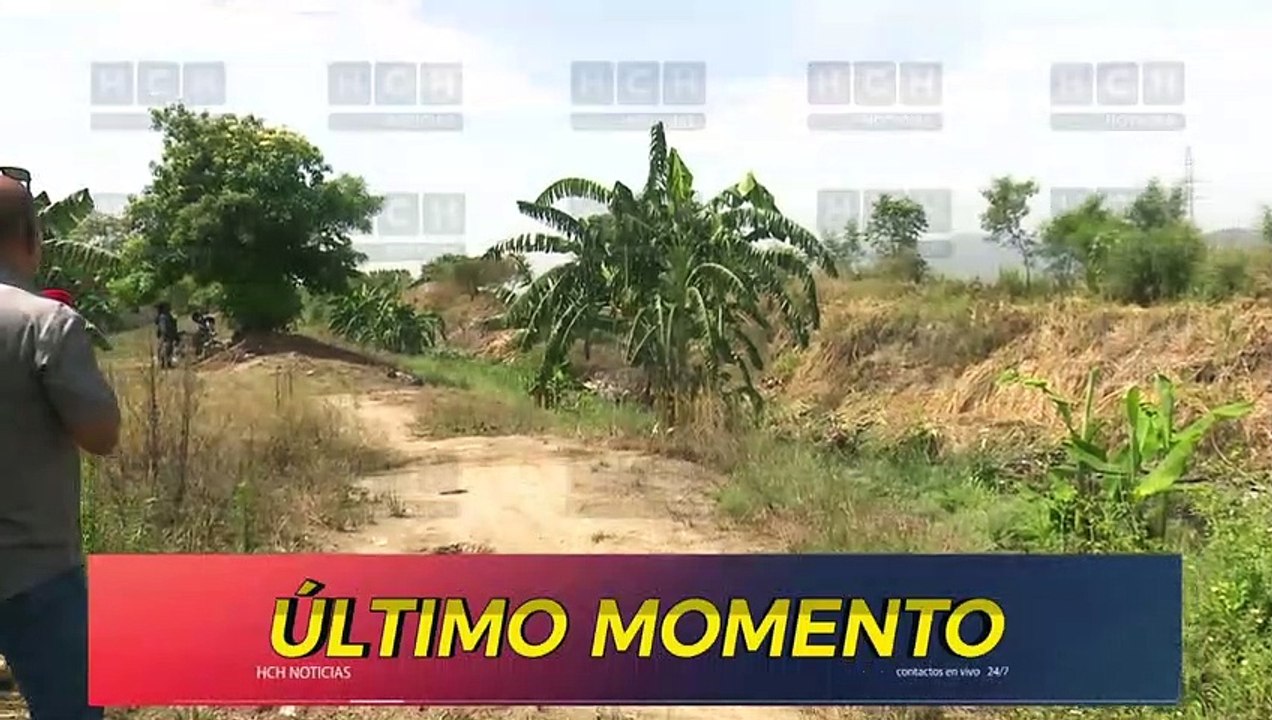 ¡Muerto dejan un joven a orilla de un crique en SPS!