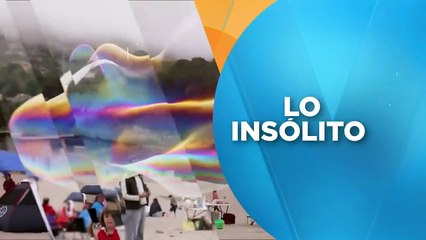 León le arranca el dedo a hombre que metió la mano a su jaula