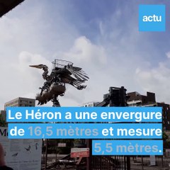 Le premier vol du Grand Héron à Nantes