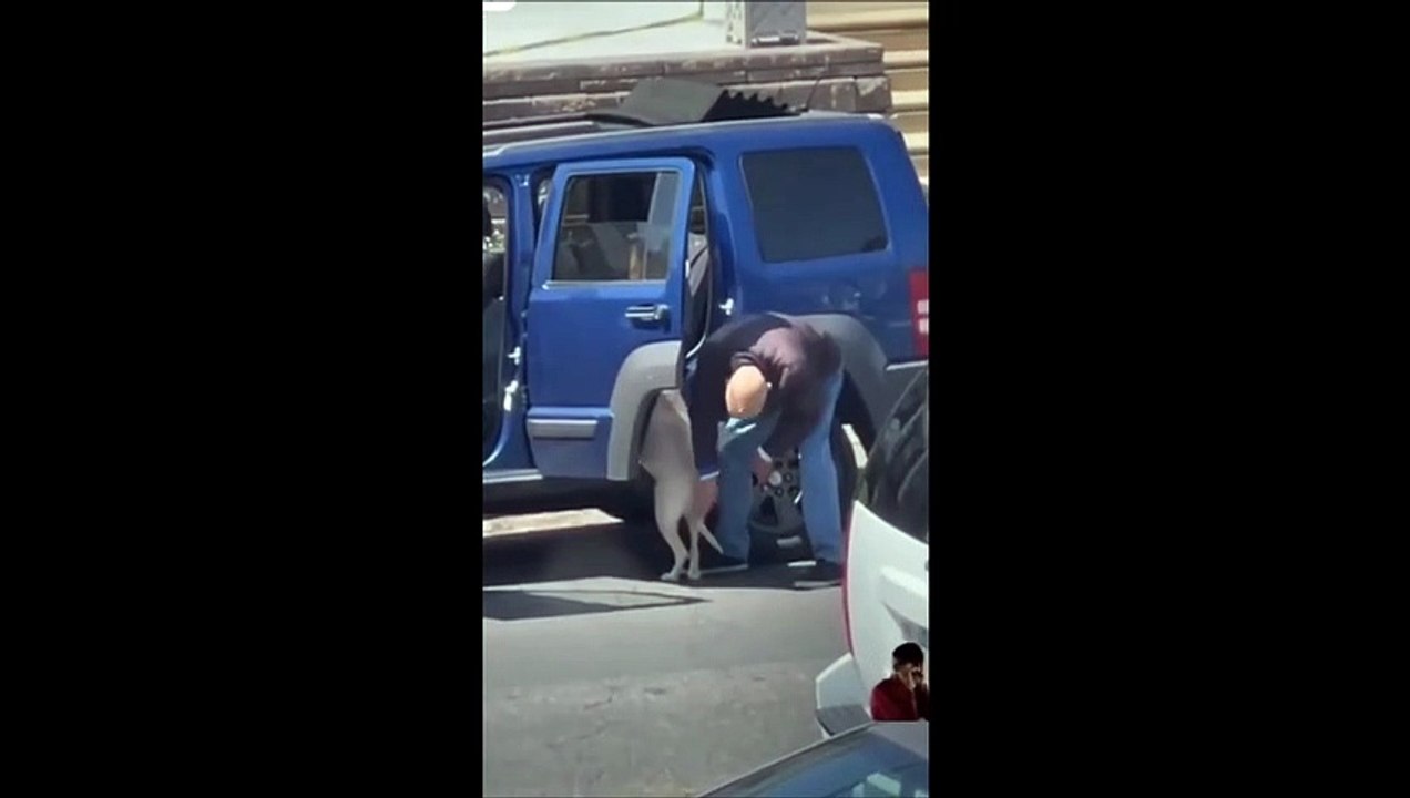 La video WTF du jour