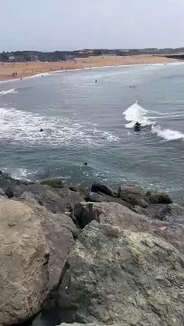 Un prof de surf sauve 2 enfants de la noyade à Anglet (Côte Basque)