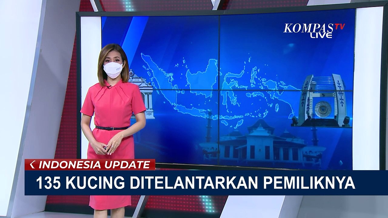 Ratusan Kucing & Anjing Ditelantarkan oleh Pemi...