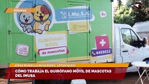 Cómo trabaja el quirófano móvil de mascotas del Imusa