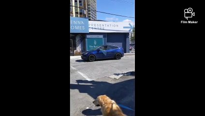 Il sort de sa Tesla en feu par la fenêtre car il sait pas comment ouvrir la porte manuellement !