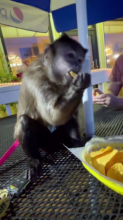 Dinner PART 1!!!!! I love Mexican