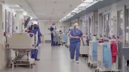 هذا جديد العلم حول مرض جدري القرود الذي بث الرعب حول العالم