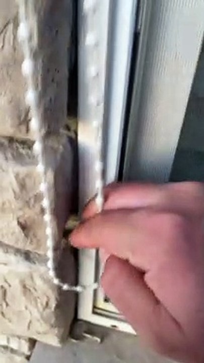 صوابع تتحدي الازمات  | Fingers defy crises