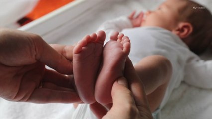 Birth Rate in the United States Trended Only Slightly Upwards in 2021