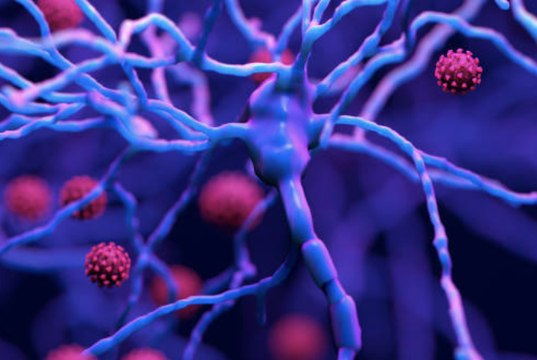 Brain Fog and Other Long COVID Symptoms Can Last More Than a Year, New Study Finds